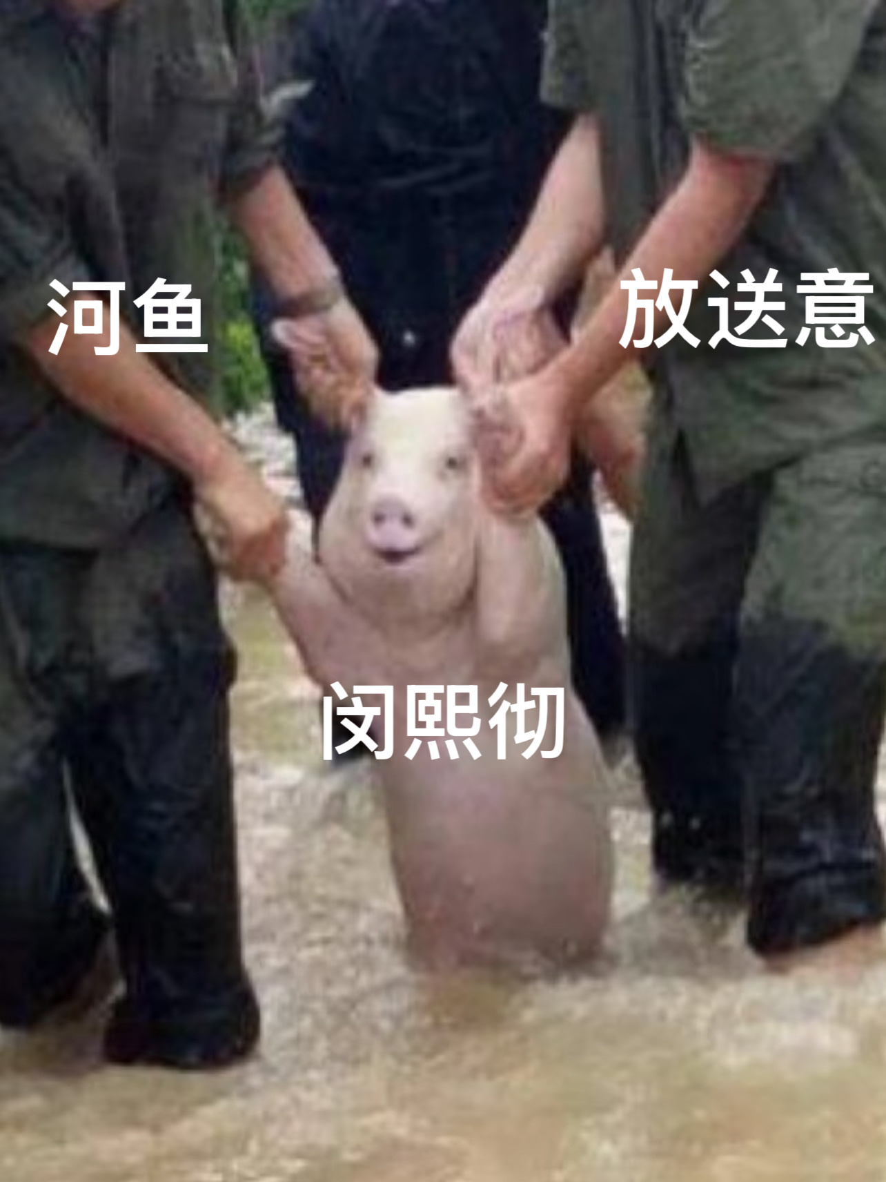 闵熙彻  莫情况 