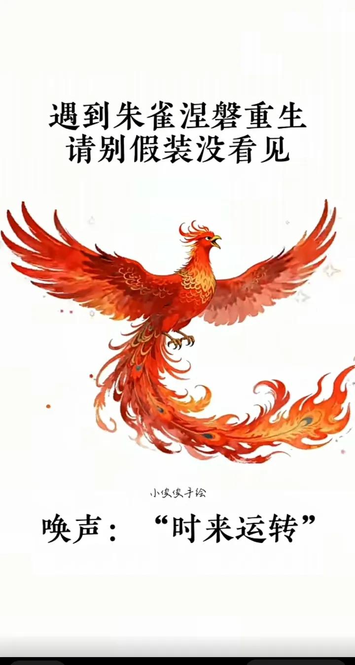 遇到朱雀涅磬重生，
你别假装看不见。
换一声“时来运转”，
好事连连，
财源广进