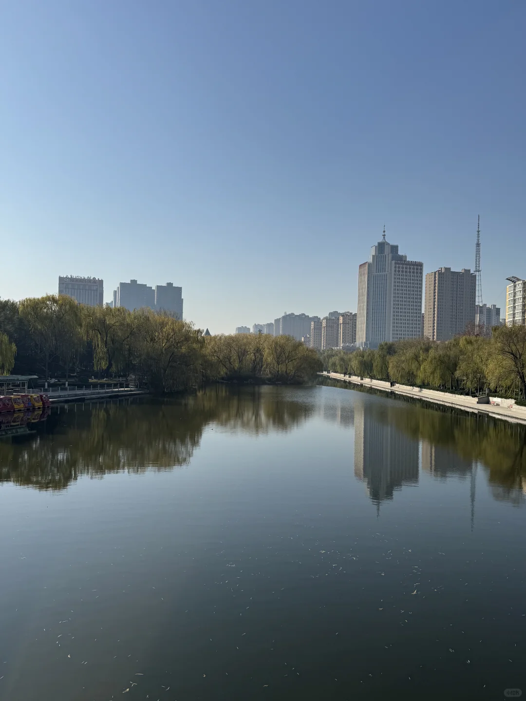 城市公园风景 冬天的公园