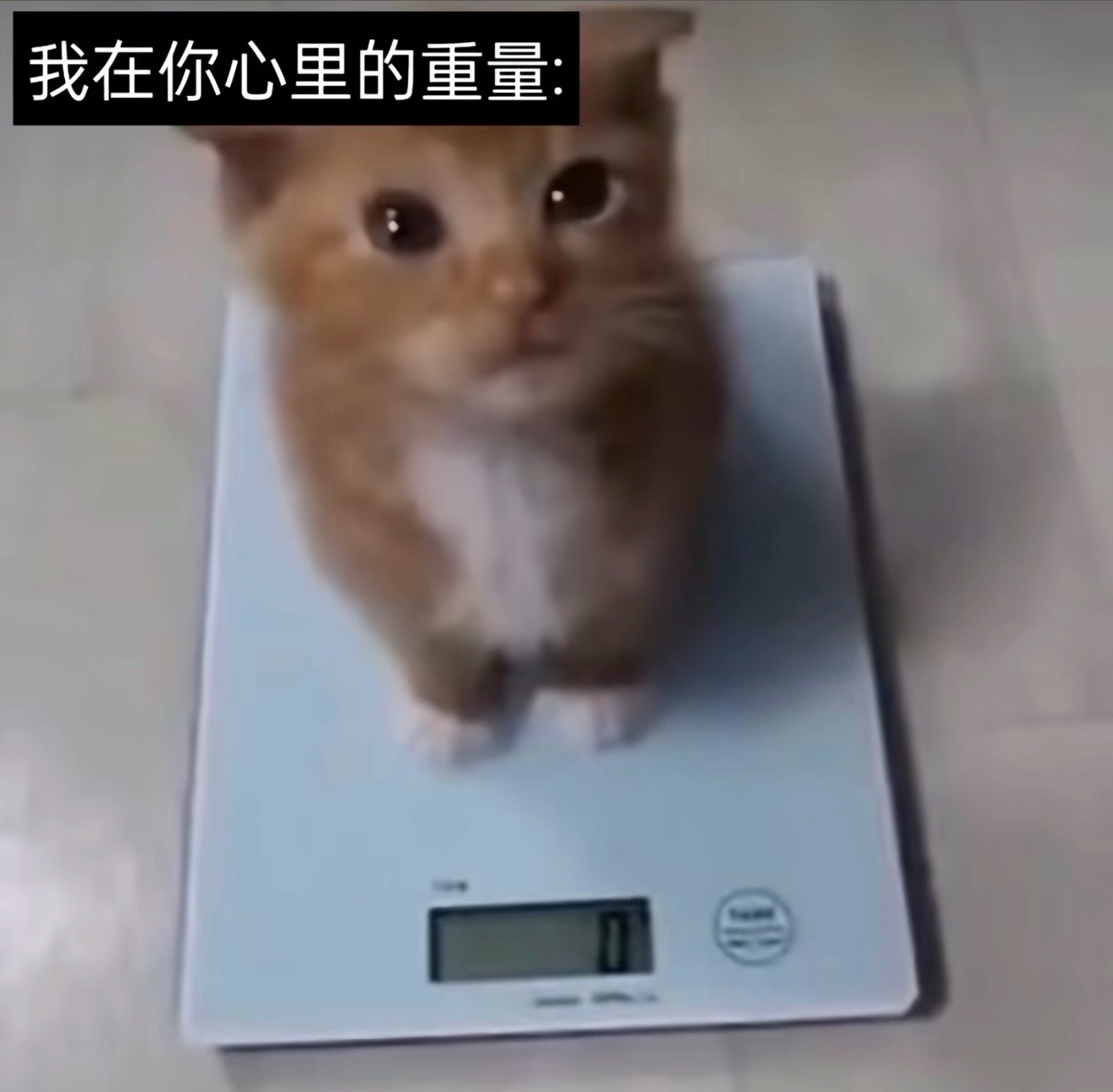 分享图片 