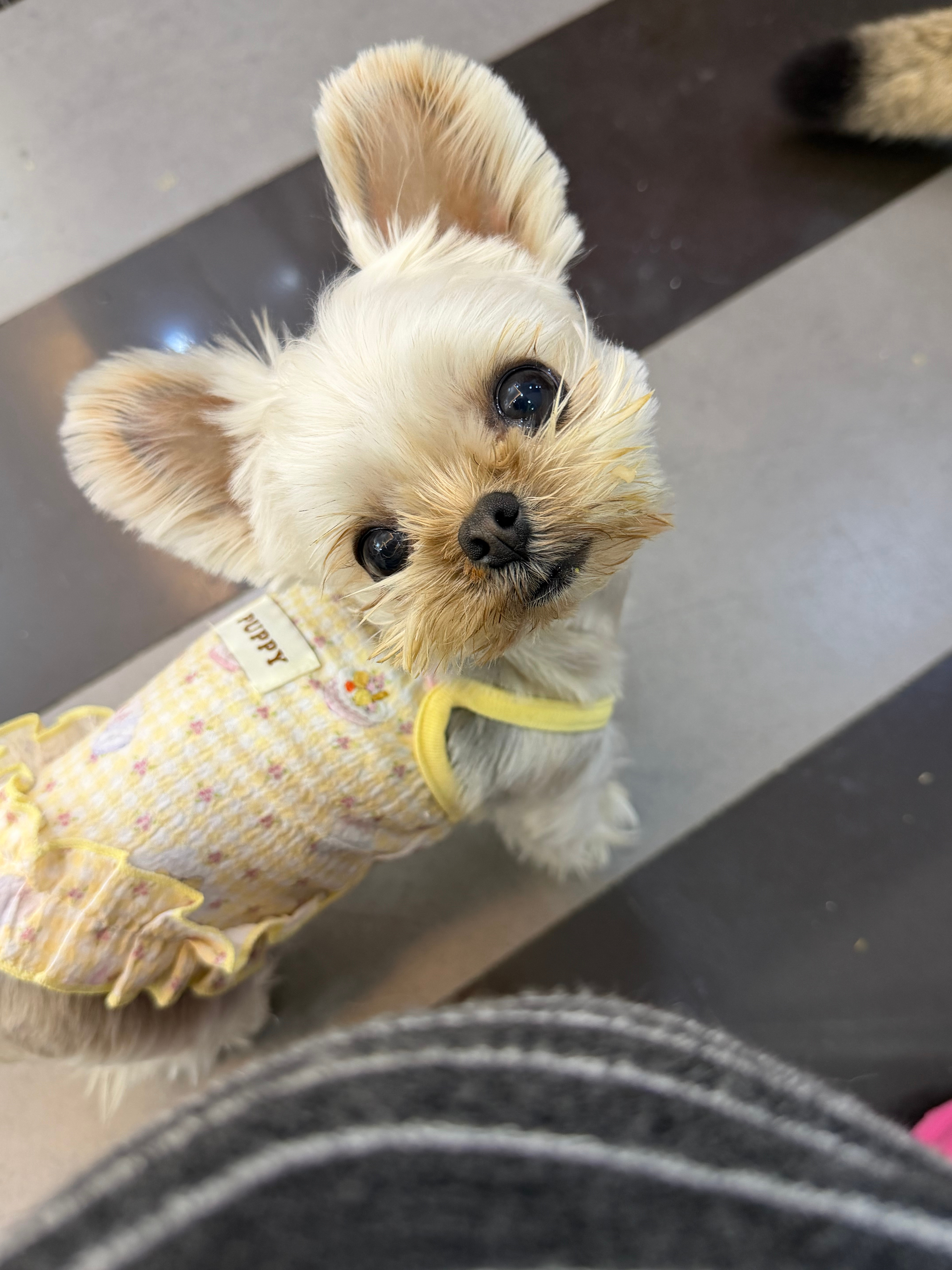 刷到有一个买海岛的姐姐，天哪，真的太有魅力了从她的长相，谈吐以及她从事的职业！！