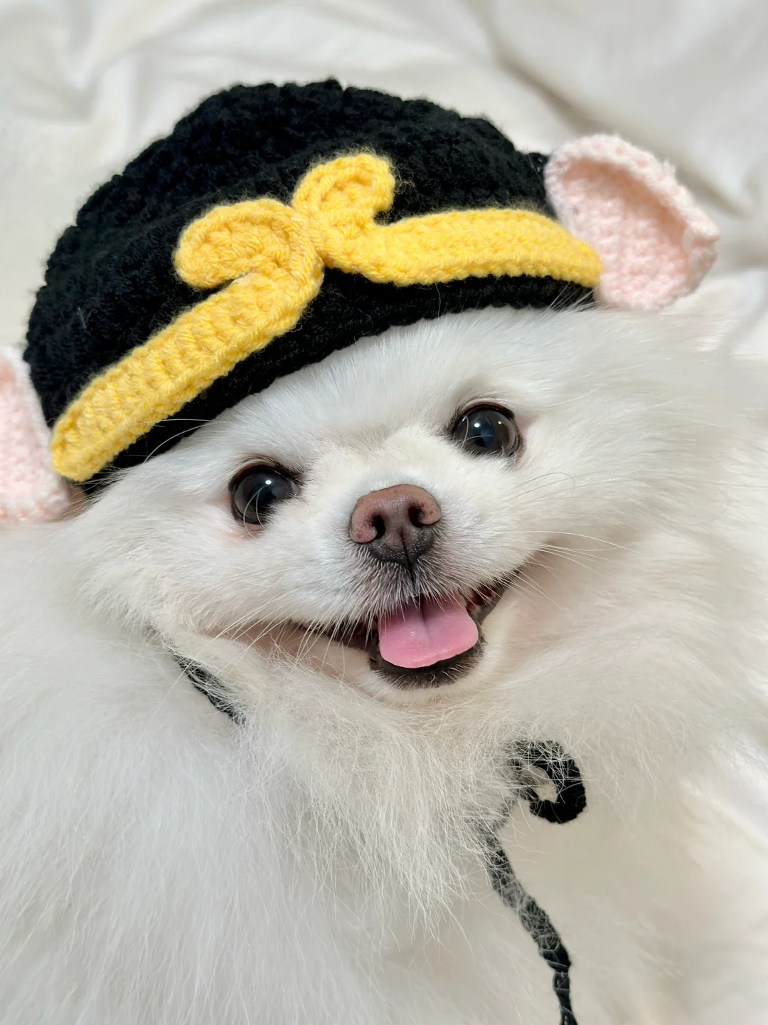 宝宝 你是一只老猪🐷