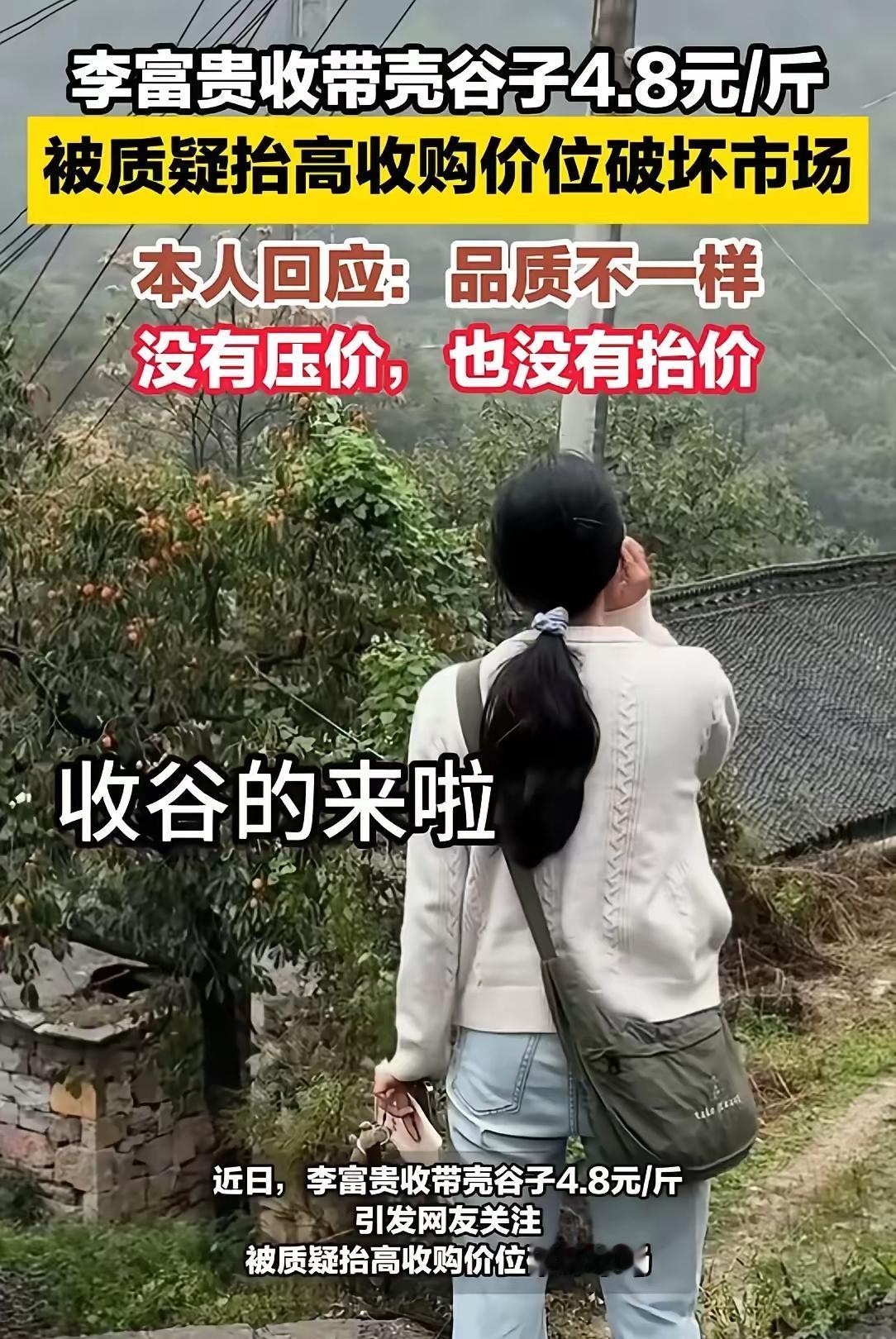 李福贵发视频去山里收谷子，价格给的高高的，一斤给4块8毛钱，有些人给到5块钱一斤