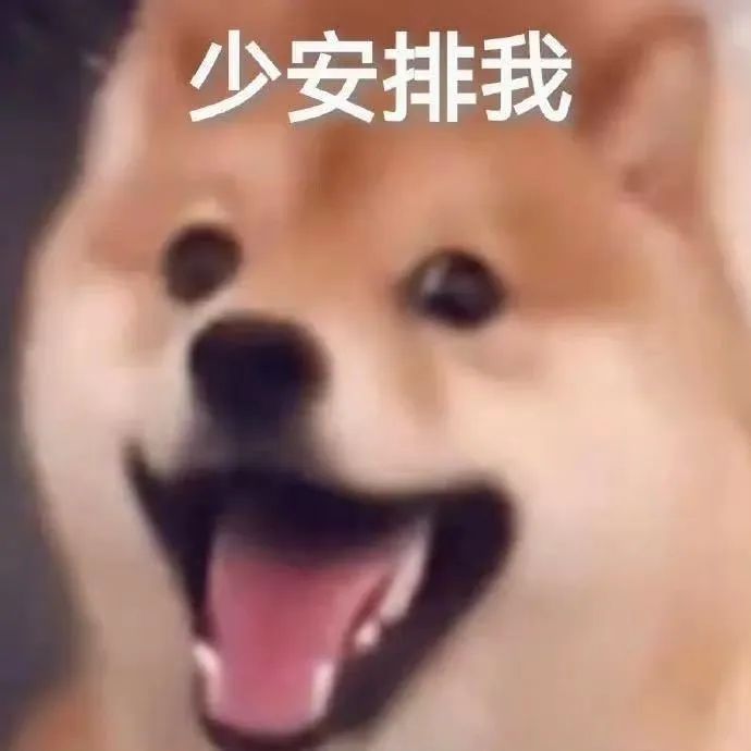 沙雕可爱表情包：少安排我！ 更新不易，拿图点赞[心]更多表情包请看主页[心] ​