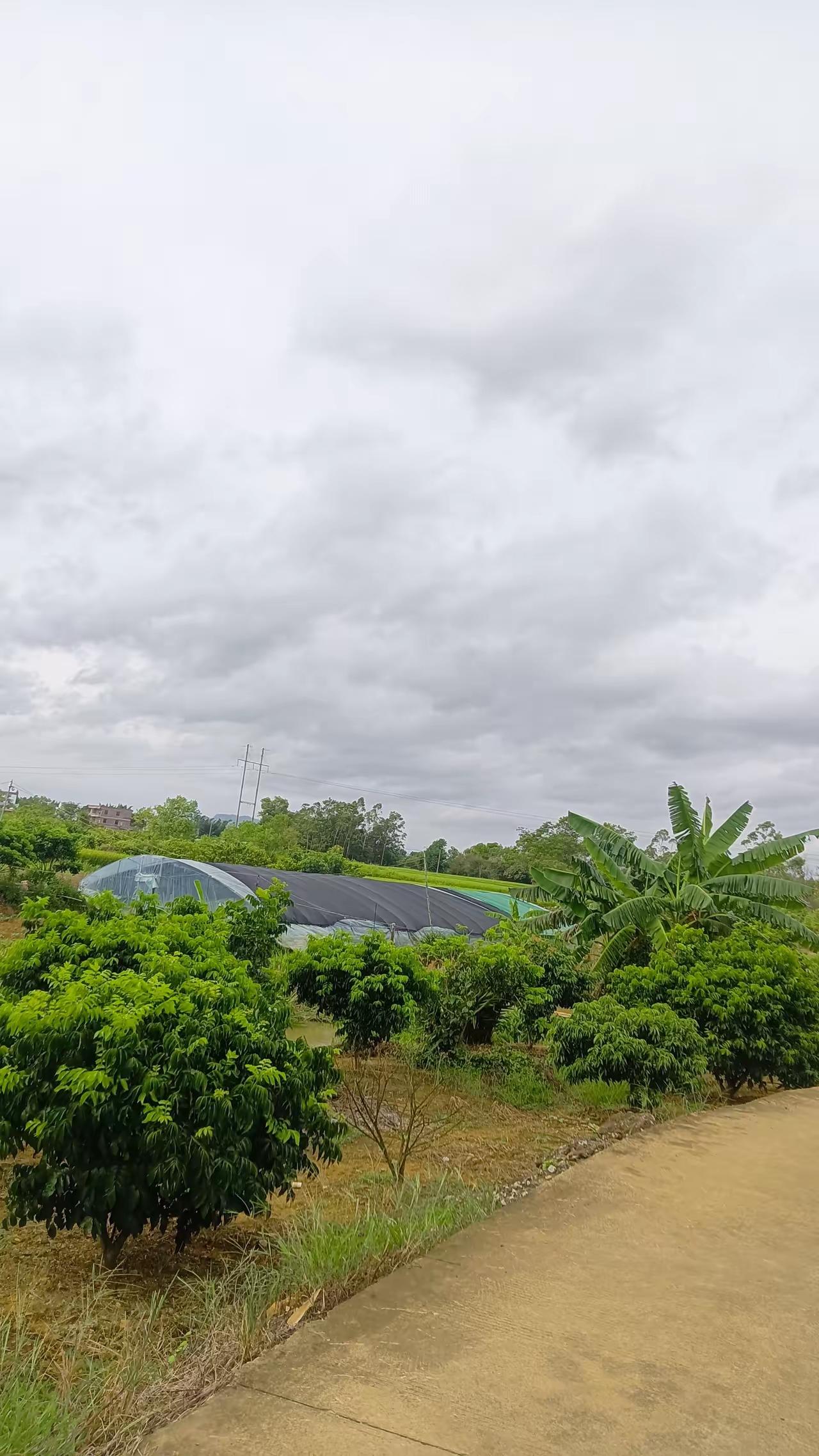 雨后！
雨后早晨的天空 早晨下了一场雨 雨后风光 雨后山色 初晴雨雨 雨后治愈瞬