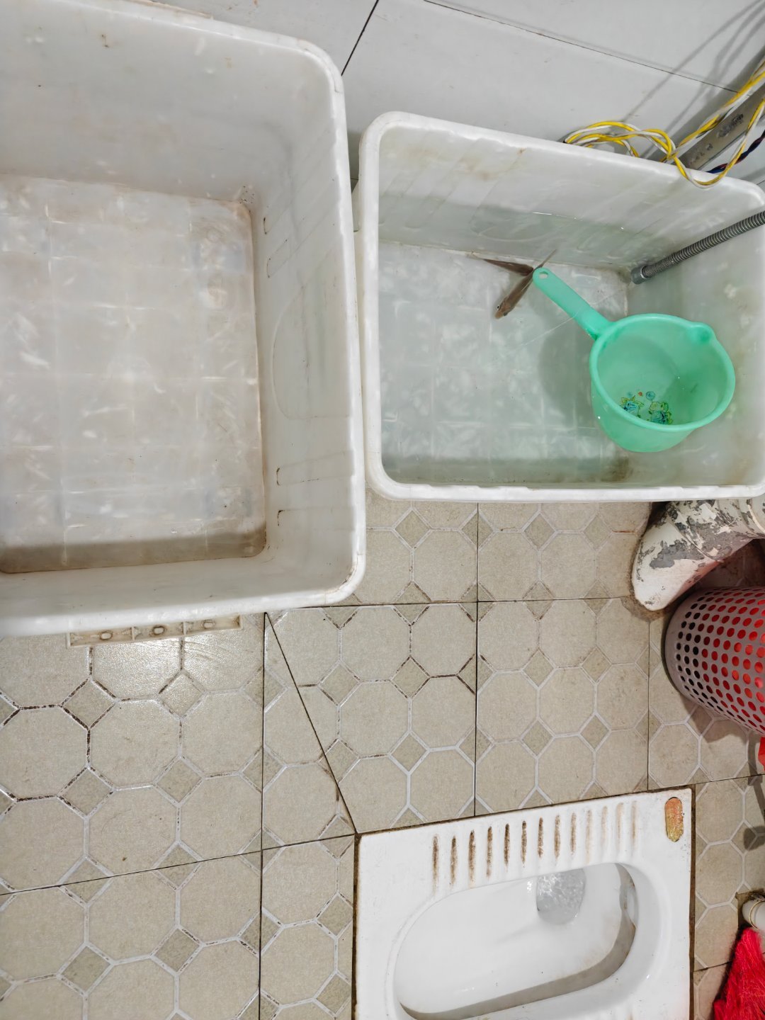 这个鱼要是会说话，是不是还会说：你人还怪好的勒？ 随机挑选一只放生 