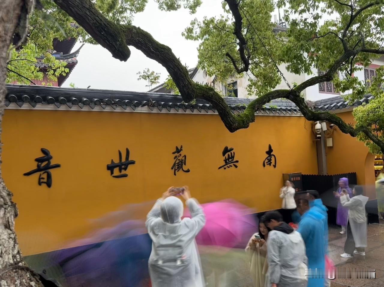 一山一寺一禅心，
所求皆如愿，所行化坦途，
雨露均沾游普陀。
图文原创：新都区摄