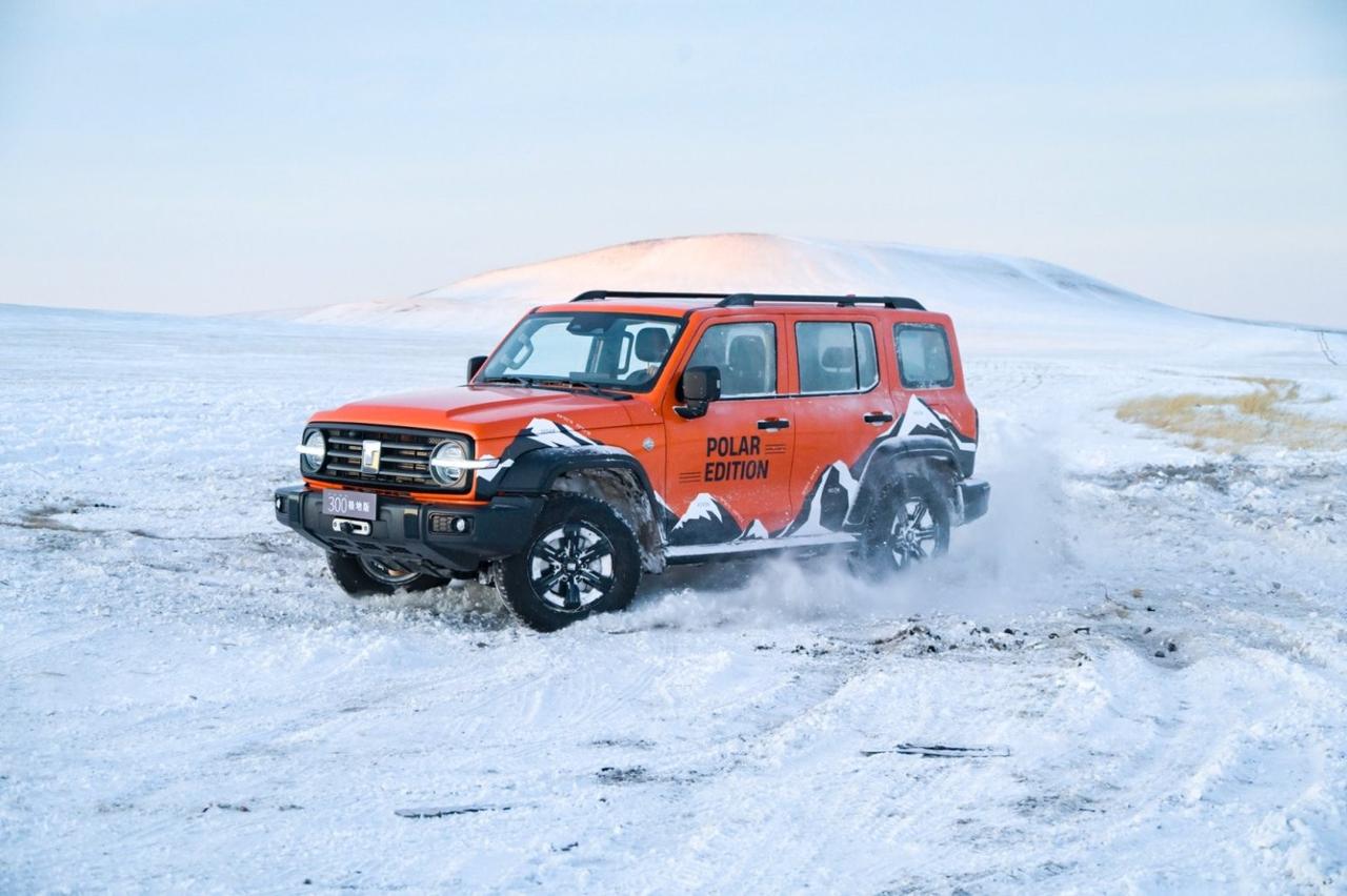 12月11日，坦克300极地版正式上市。官方建议零售价：坦克300极地版2.0T