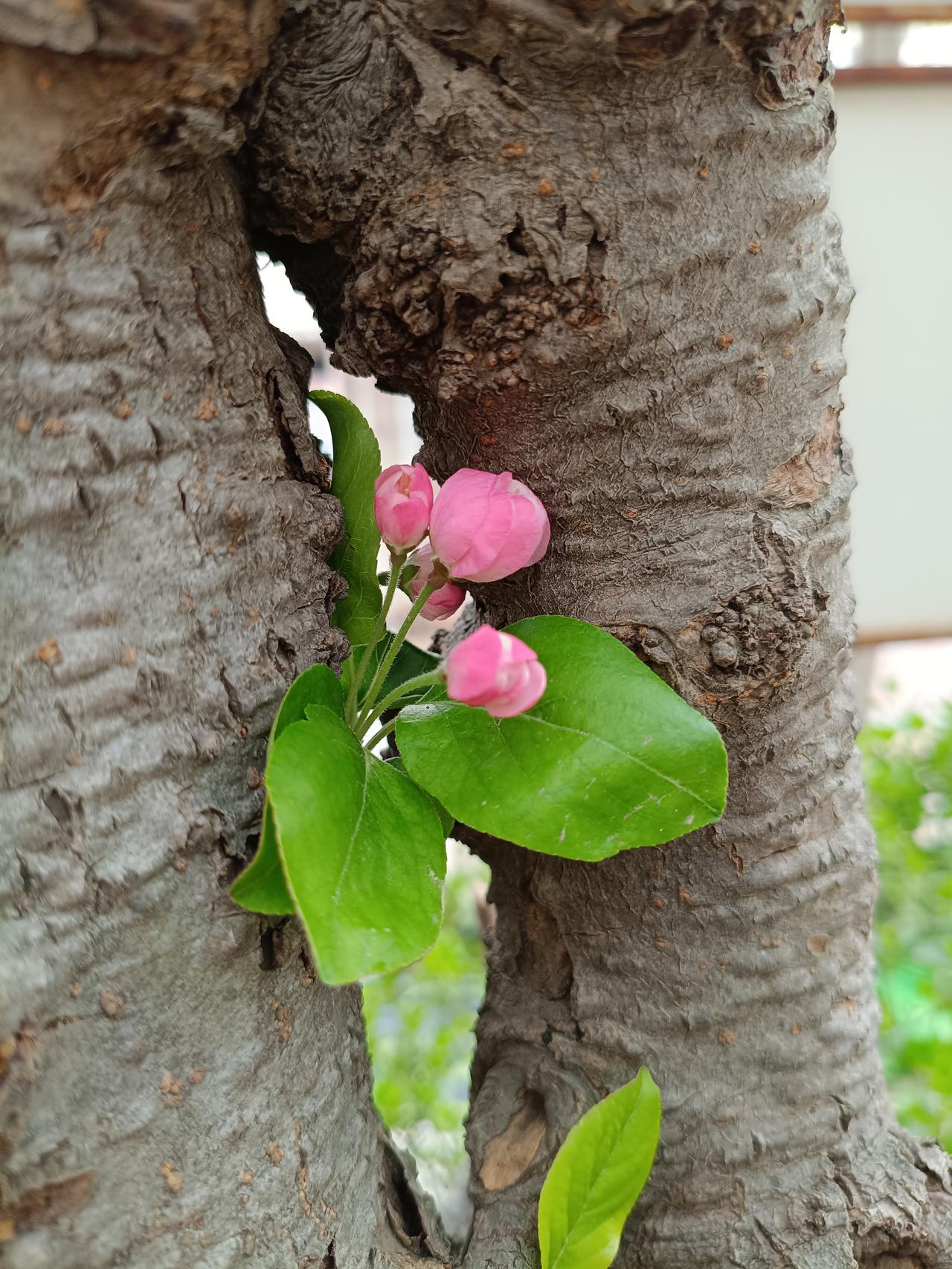 偶然看到这样一句话“再恩爱的夫妻，一生中都有100次想离婚的念头和50次想掐死对