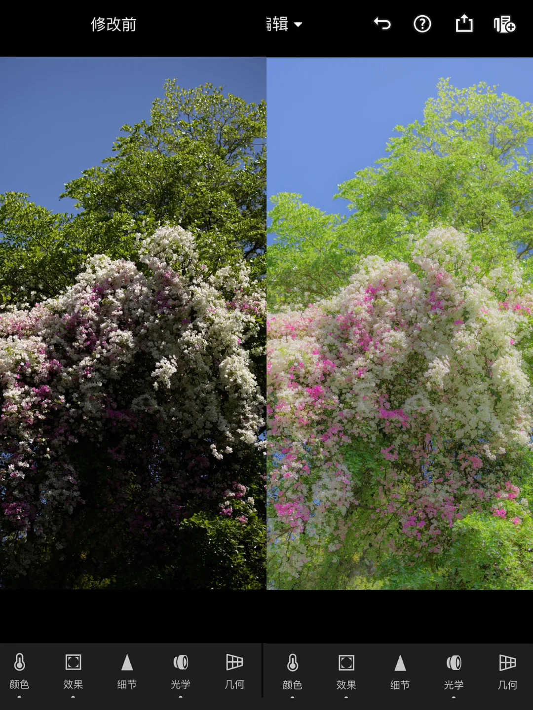 手机Lr调色|春日清新通透调色教程