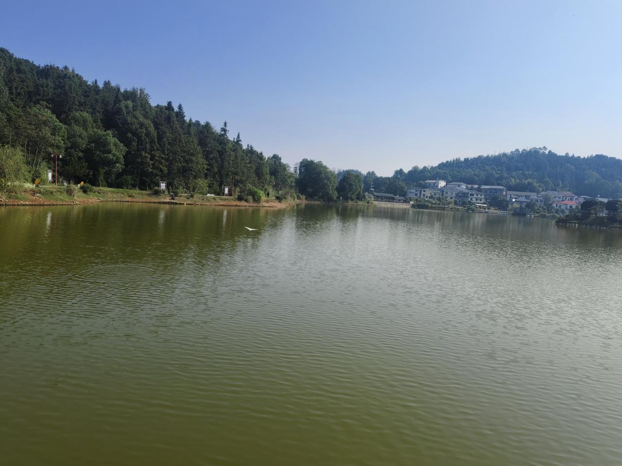 为了尽早攒到100万，我的“四不买原则”，都是40万的血泪教训

你好，我是努力