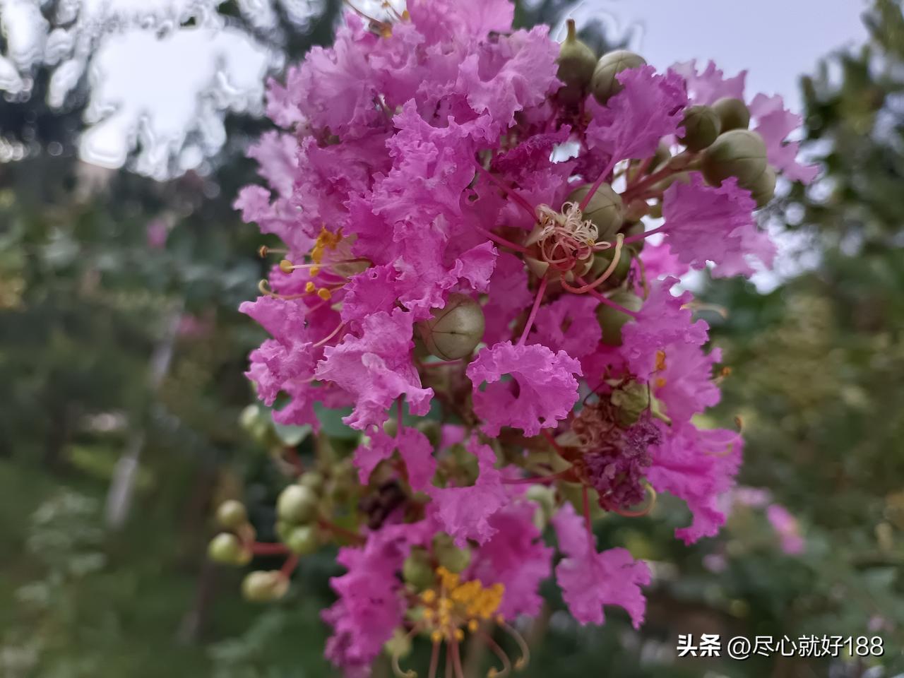 家里假如有客人来的时候，我基本是老实在妈妈身边，哪里也不乱动，就是客人吃饭的时候