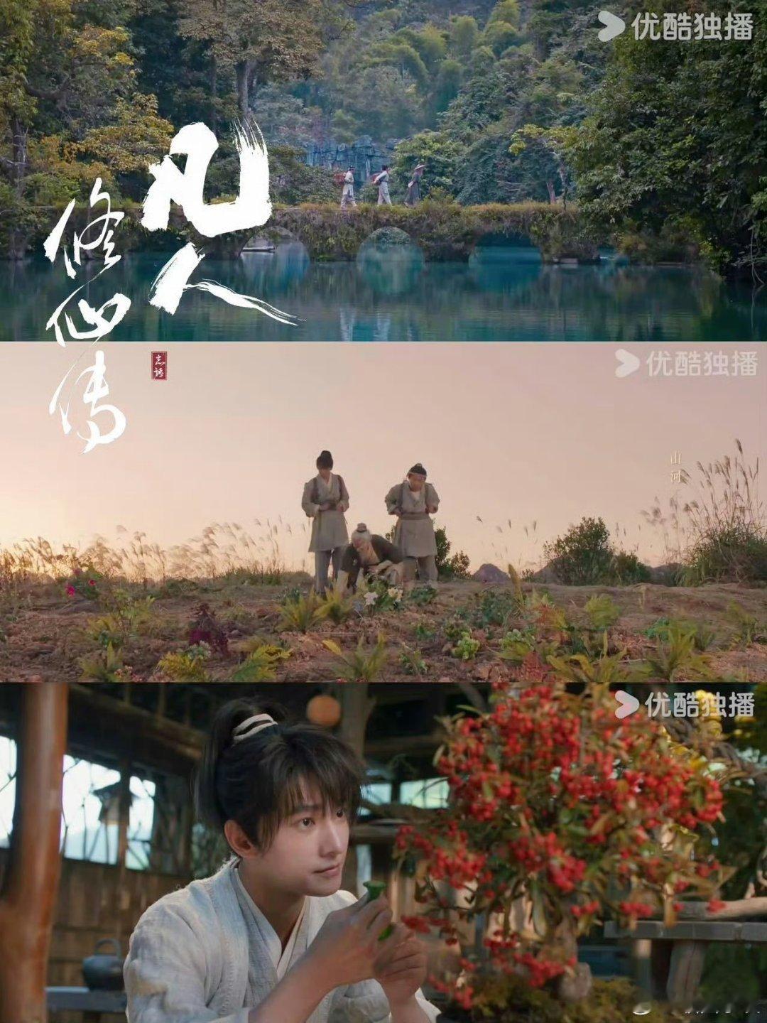 杨洋凡人修仙的DNA暴露了 这完全是脸在江山在的代表感觉剧情就很能够把我们拿捏，