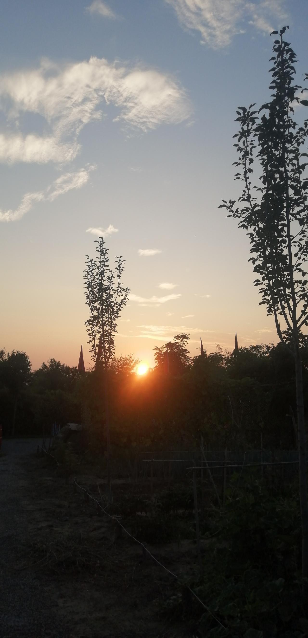 晒图笔记大赛几度夕阳红，晴朗的天空
