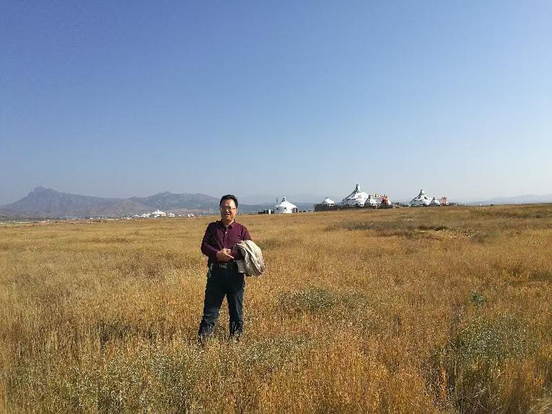 春夜
文/枫染深秋

停在暗夜的阳台
让思绪任意飘飞
季节是负重的星光
在没有月