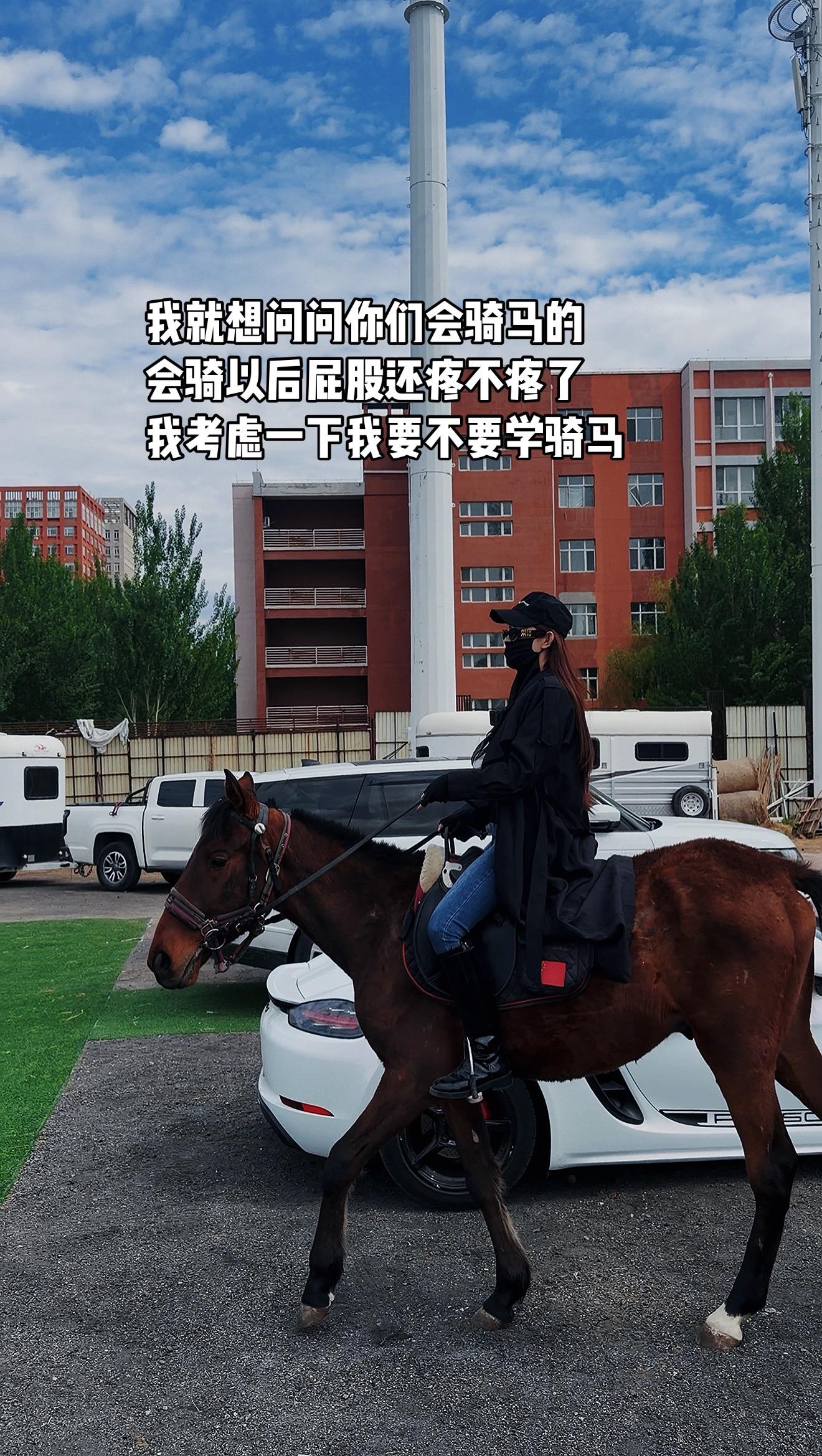 想要一个全是会骑马的评论区
