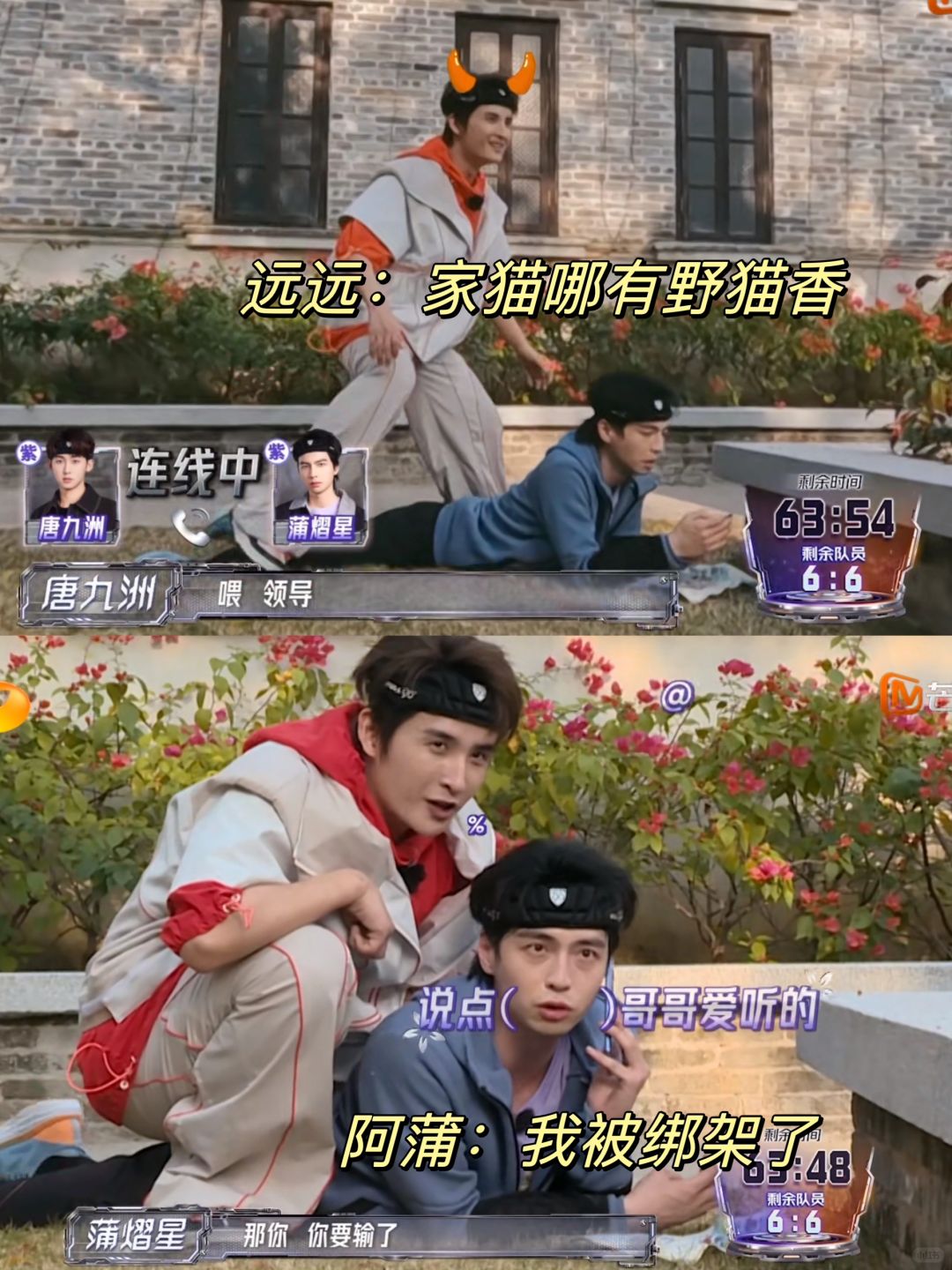 名场面打卡❗️远远：家猫哪有野猫香