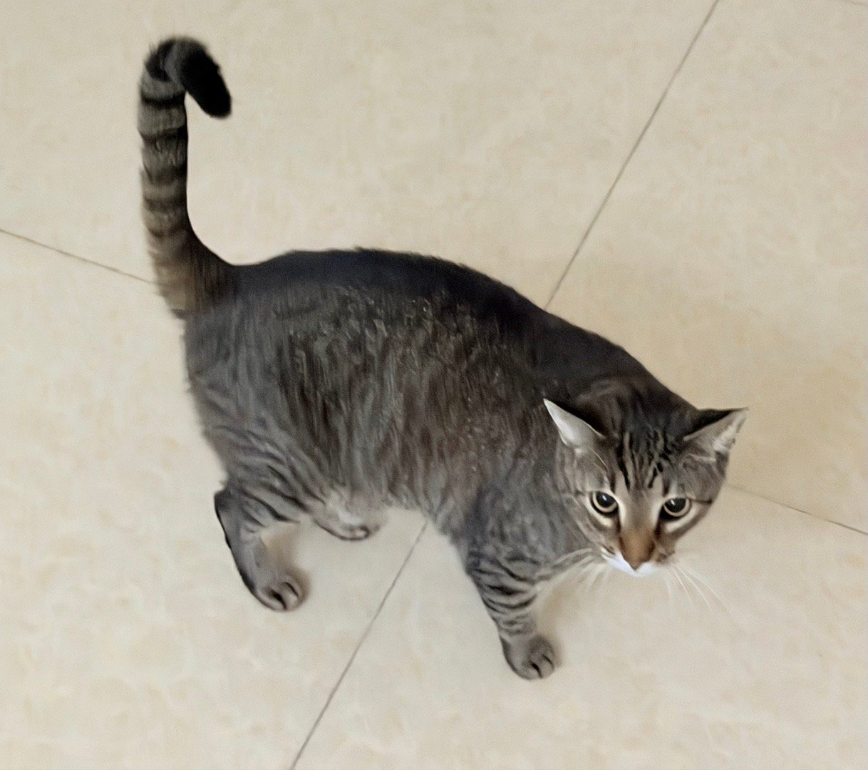 孩子已被我的新裤子吓到模糊 