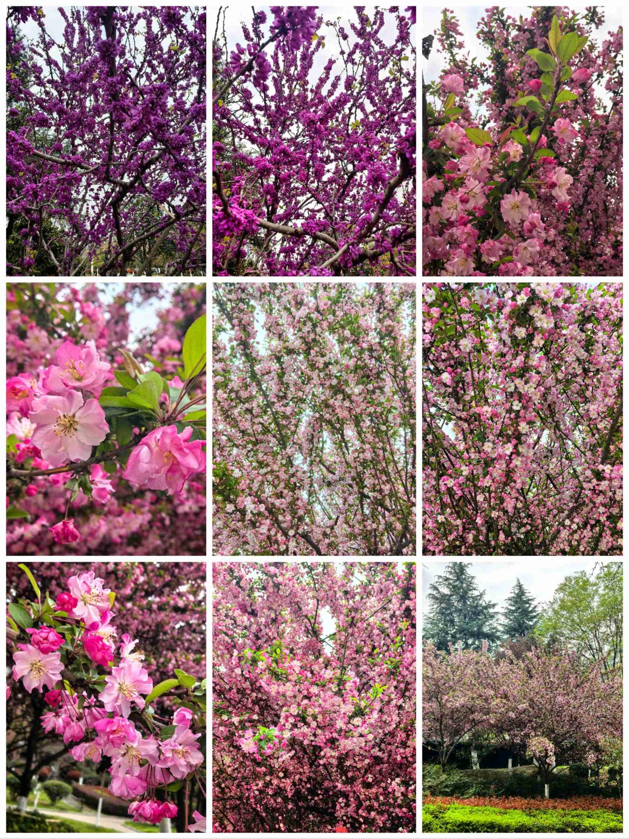 我的今日状态：😁轻松愉快
我这里的天气：☀️晴天