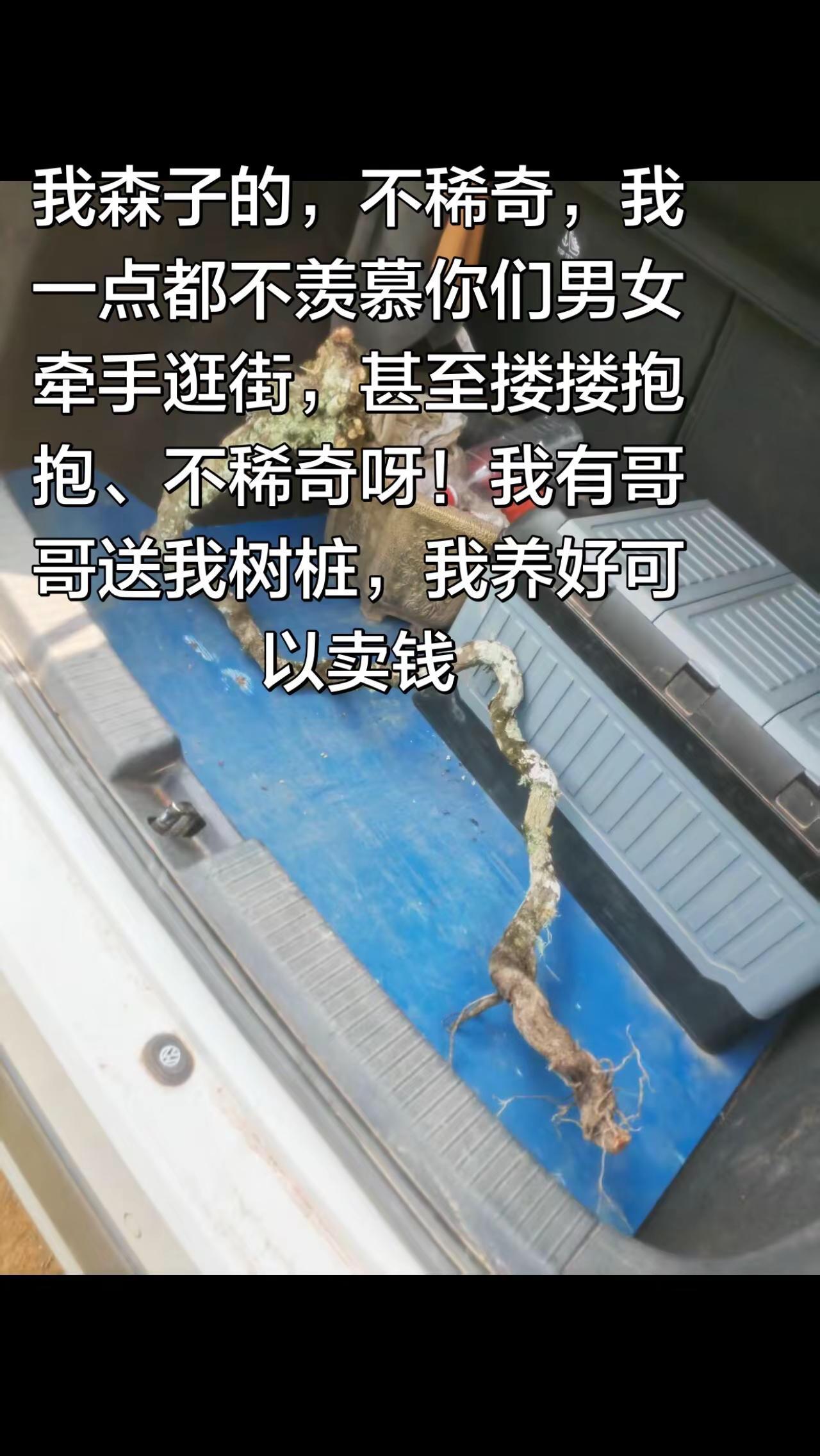 高端的人，不走低端的路。