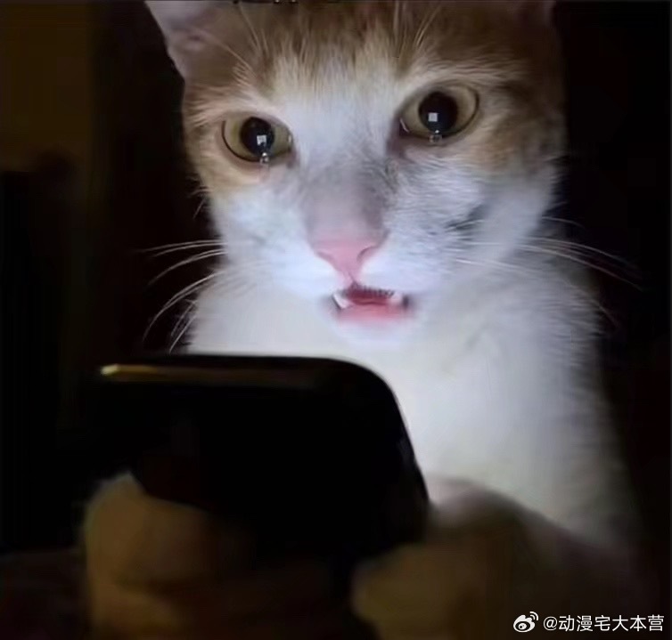 当对方抛出一个我很感兴趣的话题，我叭叭说一堆期待能受到一个回应或者聊更多，结果对