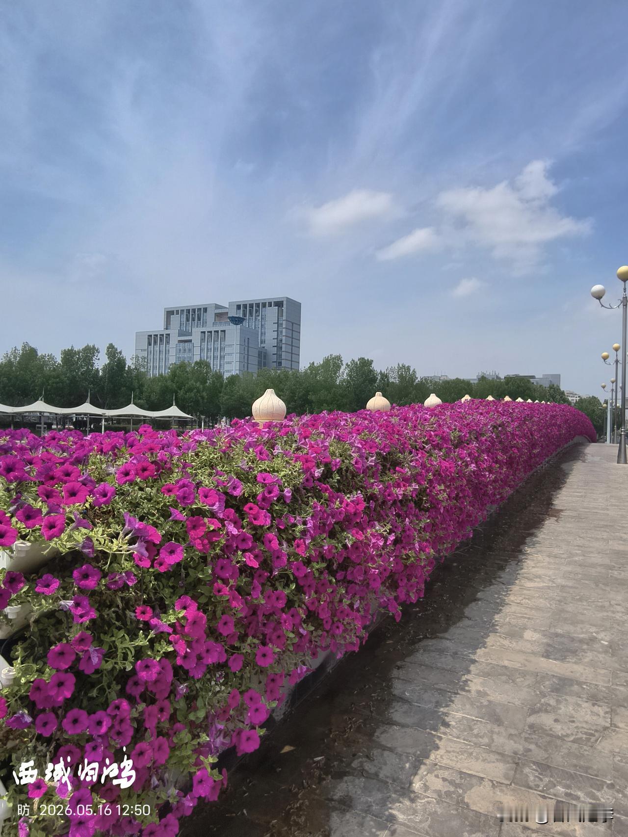 分享一张东营的照片风景美不美在人心，在心境，正所谓:览物之情，得无异乎。