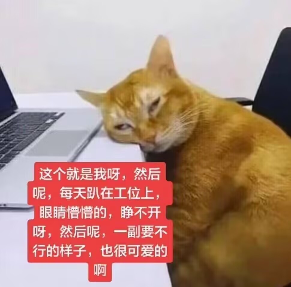 出差换了个酒店 健身房在一楼 门是半开关不掉的 完全喂蚊子来的 