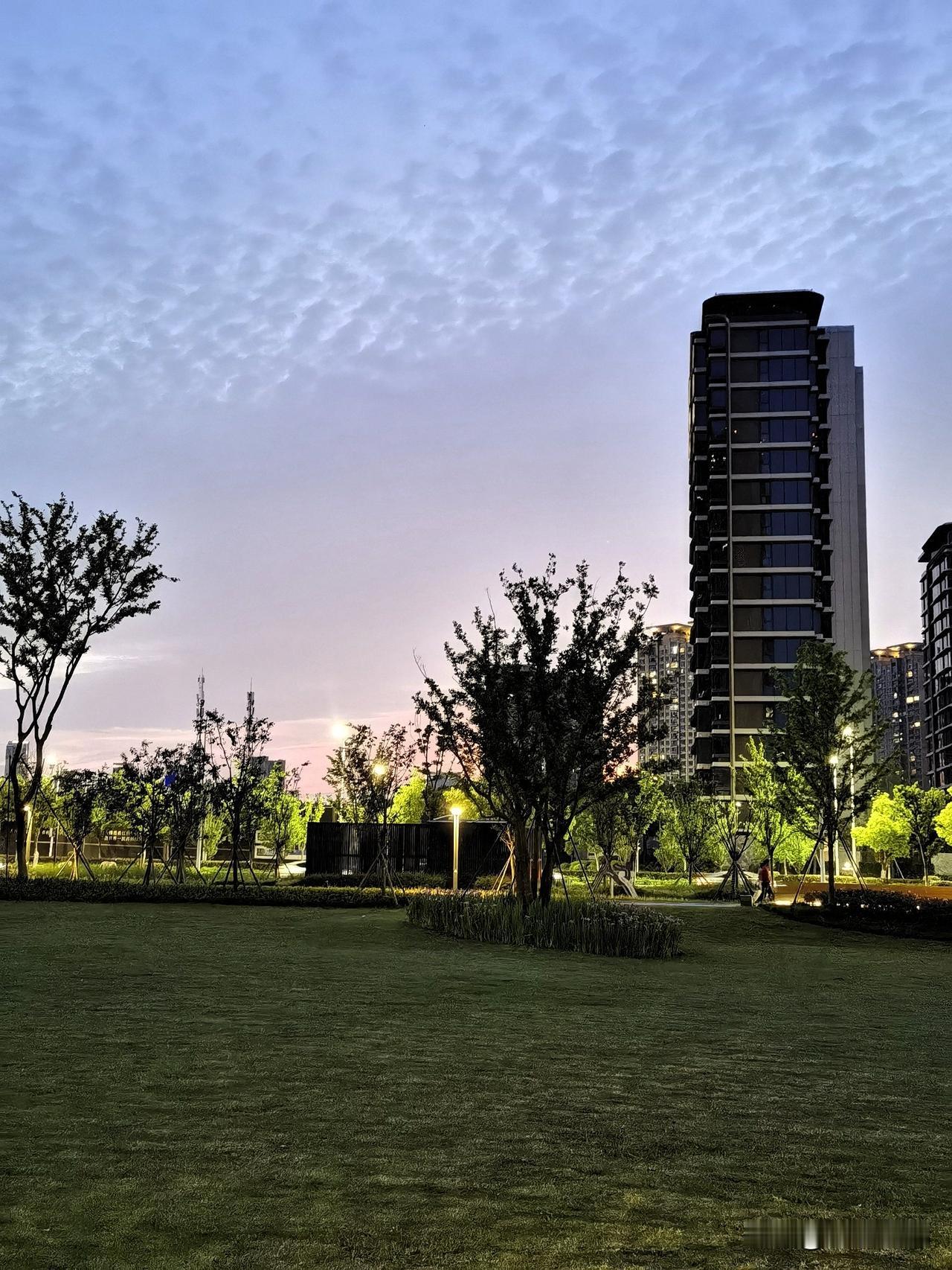 暮色中的城市美景。

昨天傍晚在公园里散步，脚步不自觉地慢下来，西边的天际还留着