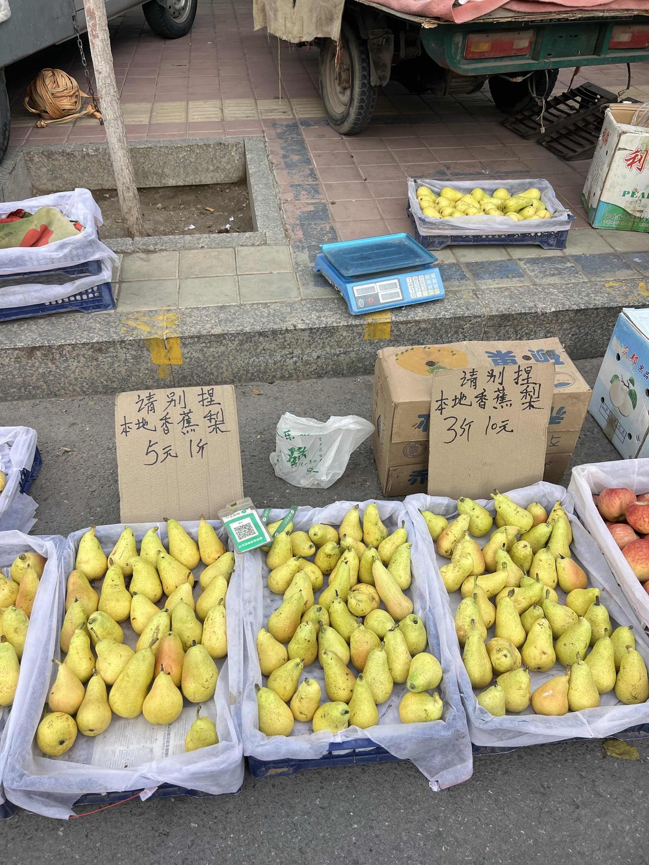 早集市
这个每天只有上午9点半前才有的早集市在一条小马路上，聚集着各种各样的蔬菜