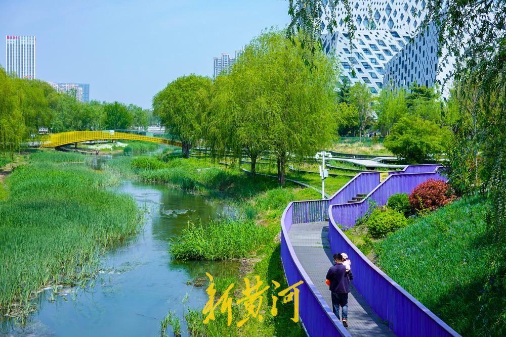 水清岸绿鸟归来，看济南腊山河畔的华丽蝶变！4月14日，春日的腊山河，水清岸绿，鸟
