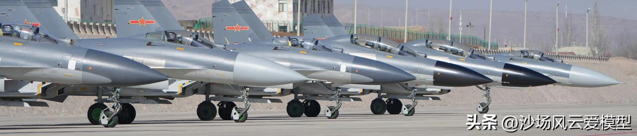 歼-11B家族，黑头白头各有不同，有平板还有相控阵的，一换装又是一员干将