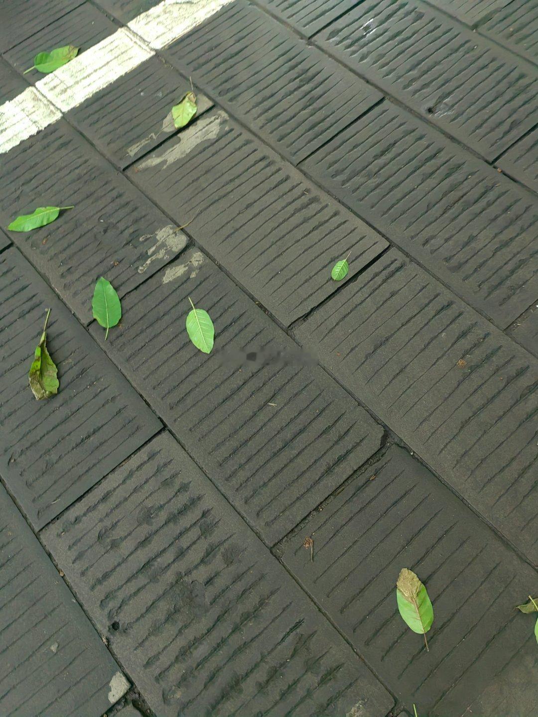 喜欢的日子就是好日子每一天都如此的普通而又珍贵我在平静中生出的平常的心居然在时间