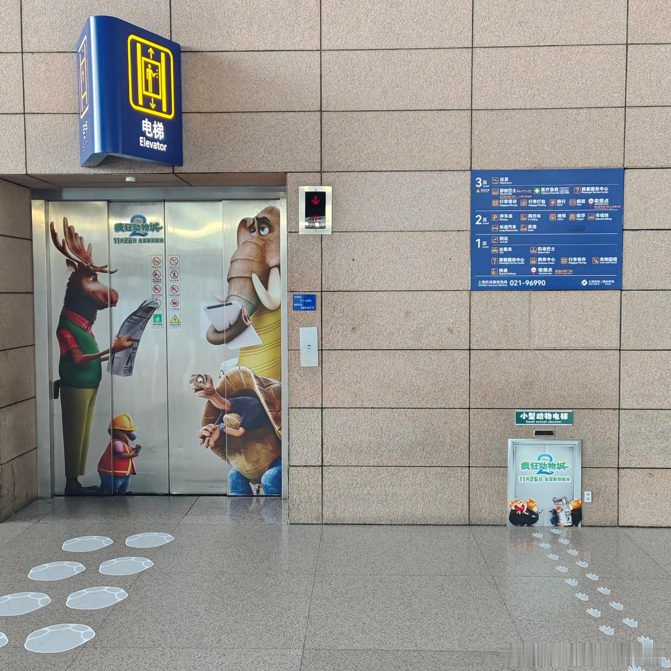 啊啊啊啊啊啊啊！上海浦东机场和《疯狂动物城2》的联动小彩蛋电梯和洗手间都有小动物