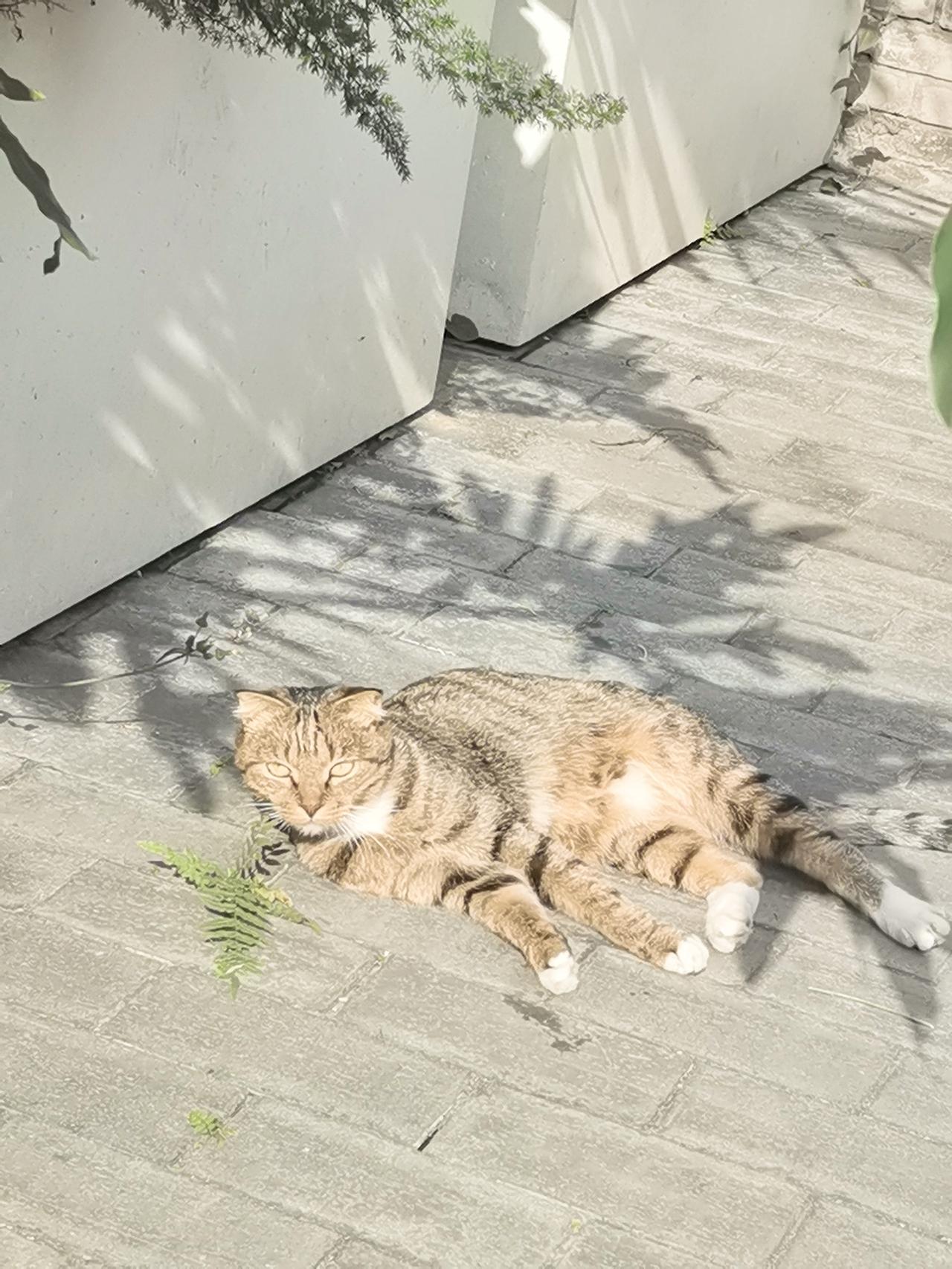 听了牢A多场直播，这小伙确实该火。他的直播经常是多人连麦，看的出其他人，包括团座