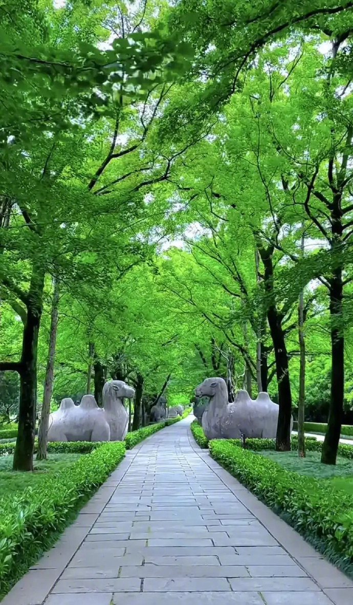 每看一分钟，就会得到一分钟的宁静 