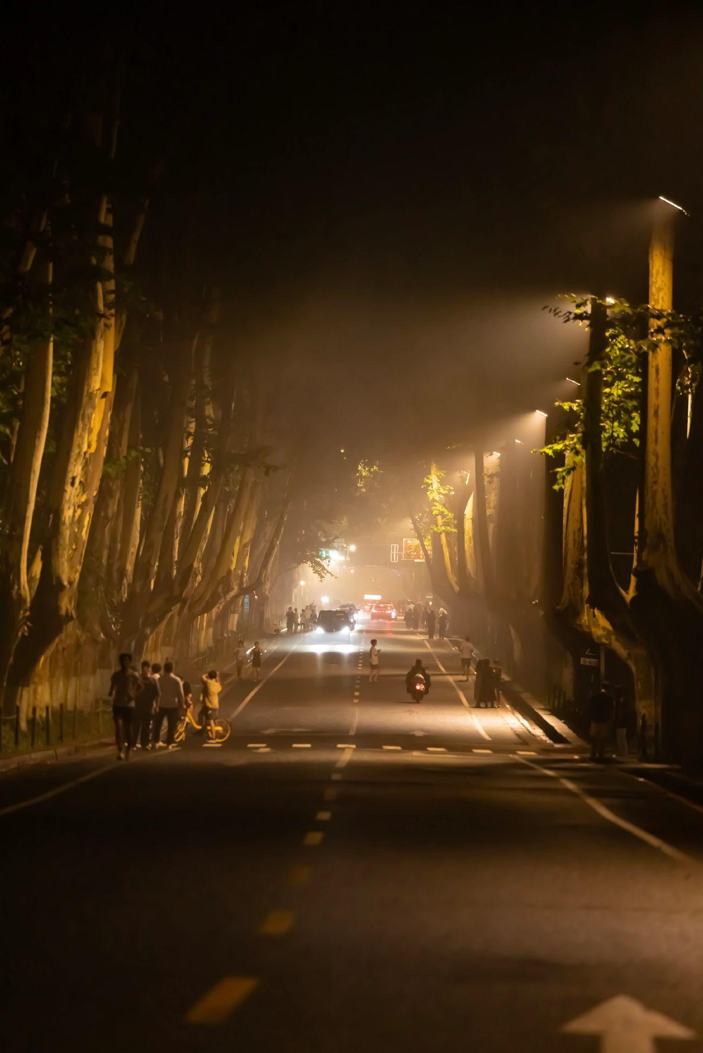 不知道如何形容雨后夜里的南京梧桐大道。但至少这样的瞬间能让我感到片刻的...