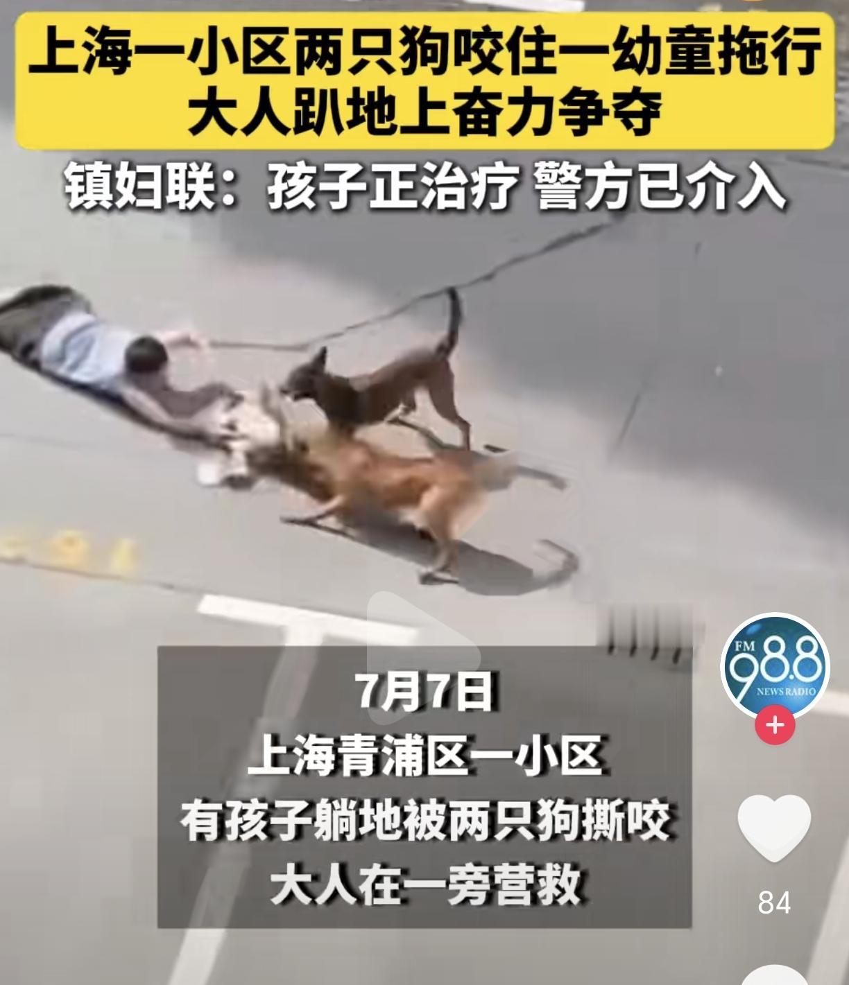 太吓人了！上海青浦两条恶犬咬伤男童！根据媒体报道，7月7号，上海青浦一小区内，一