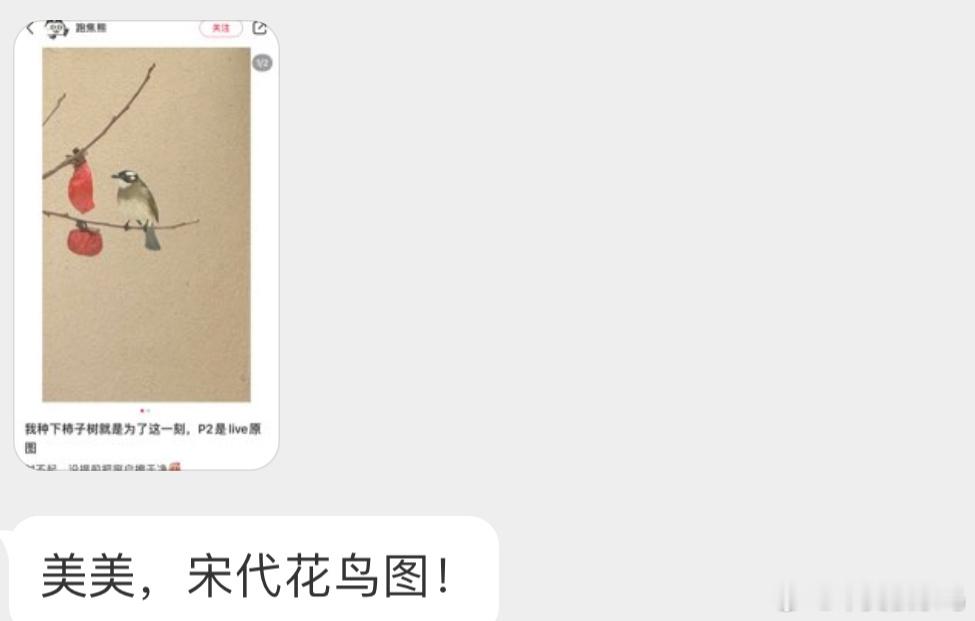 恰柿子🍅的白头鹎bēi太好看了吧！ ​​​