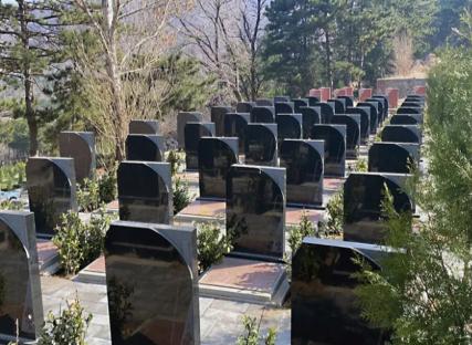 男子去父母墓地拜祭，顺便一次性缴清了20年的管理费，但他突然想到一个问题，浑身一