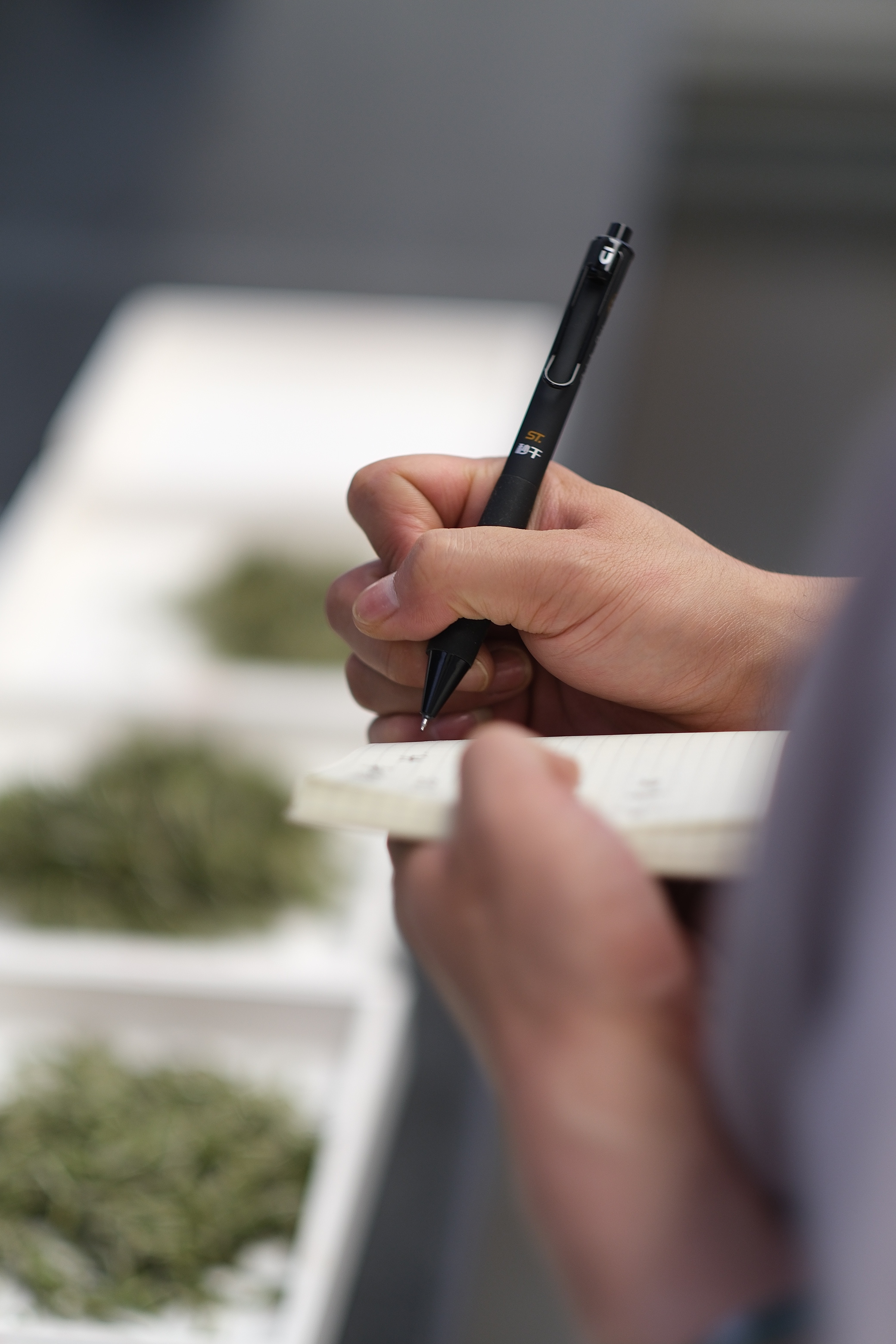不是所有努力都会立刻发光，但所有坚持都会慢慢积累成光。当别人还在犹豫的时候，你已