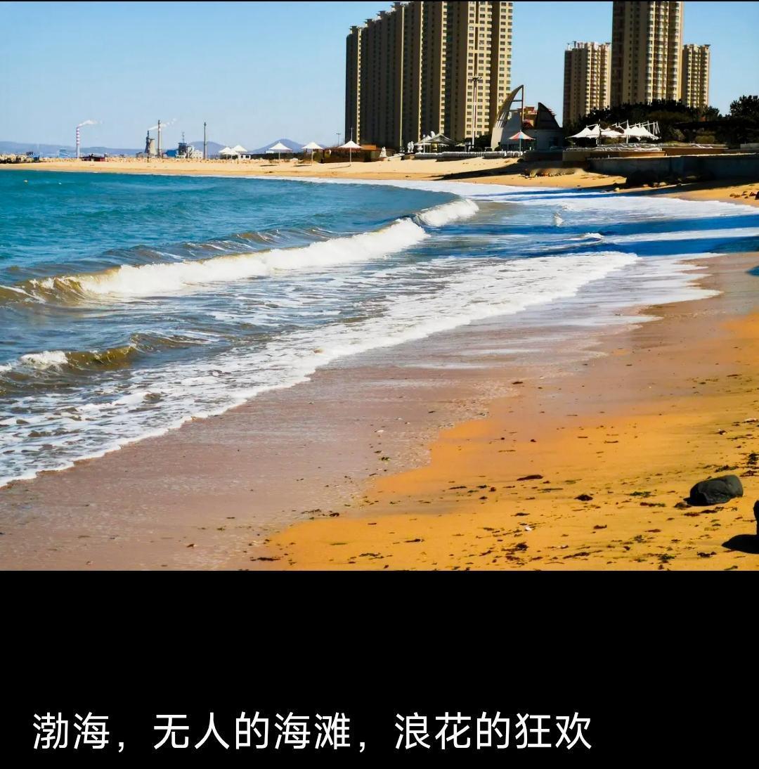 老年大学哪里地方的人都有，
有的长期在海边生活，
还有没见过大海的
就这个问题，