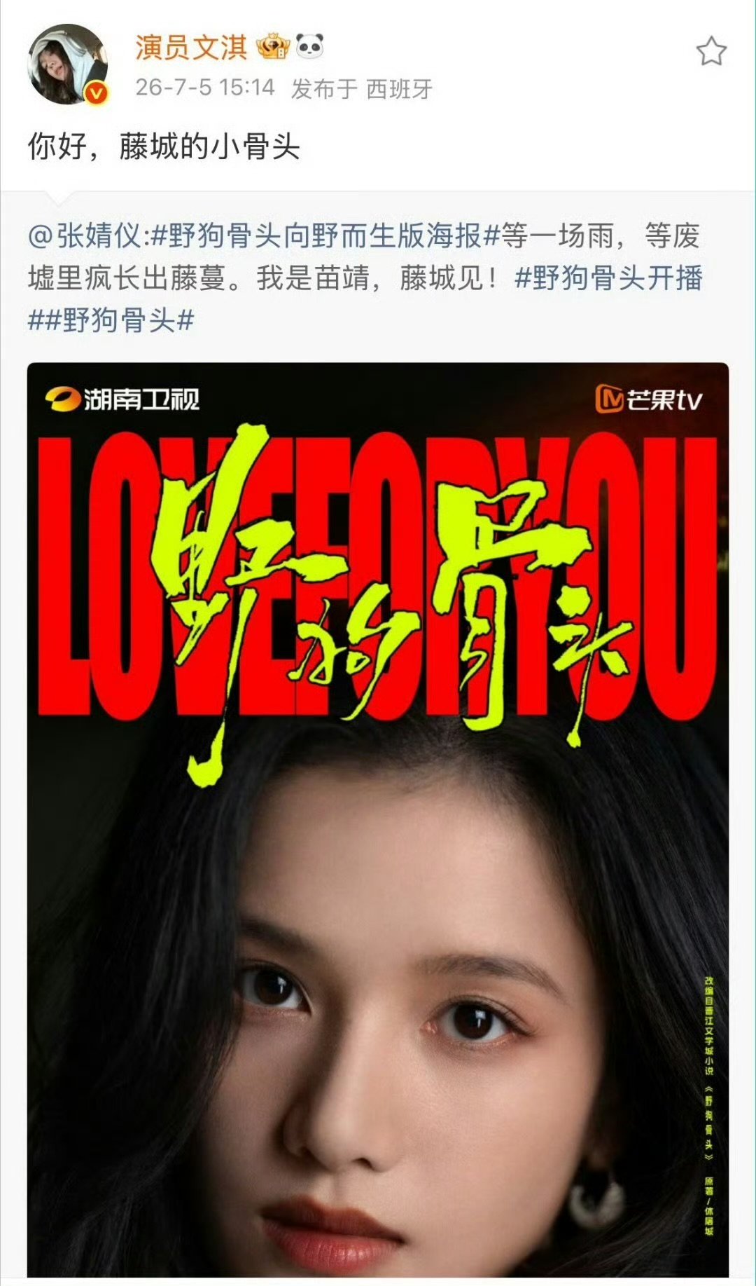 文淇宣完宋威龙的宣张婧仪的野狗骨头别人宣传只会顾着一个人，文淇偏偏雨露均沾，宋威