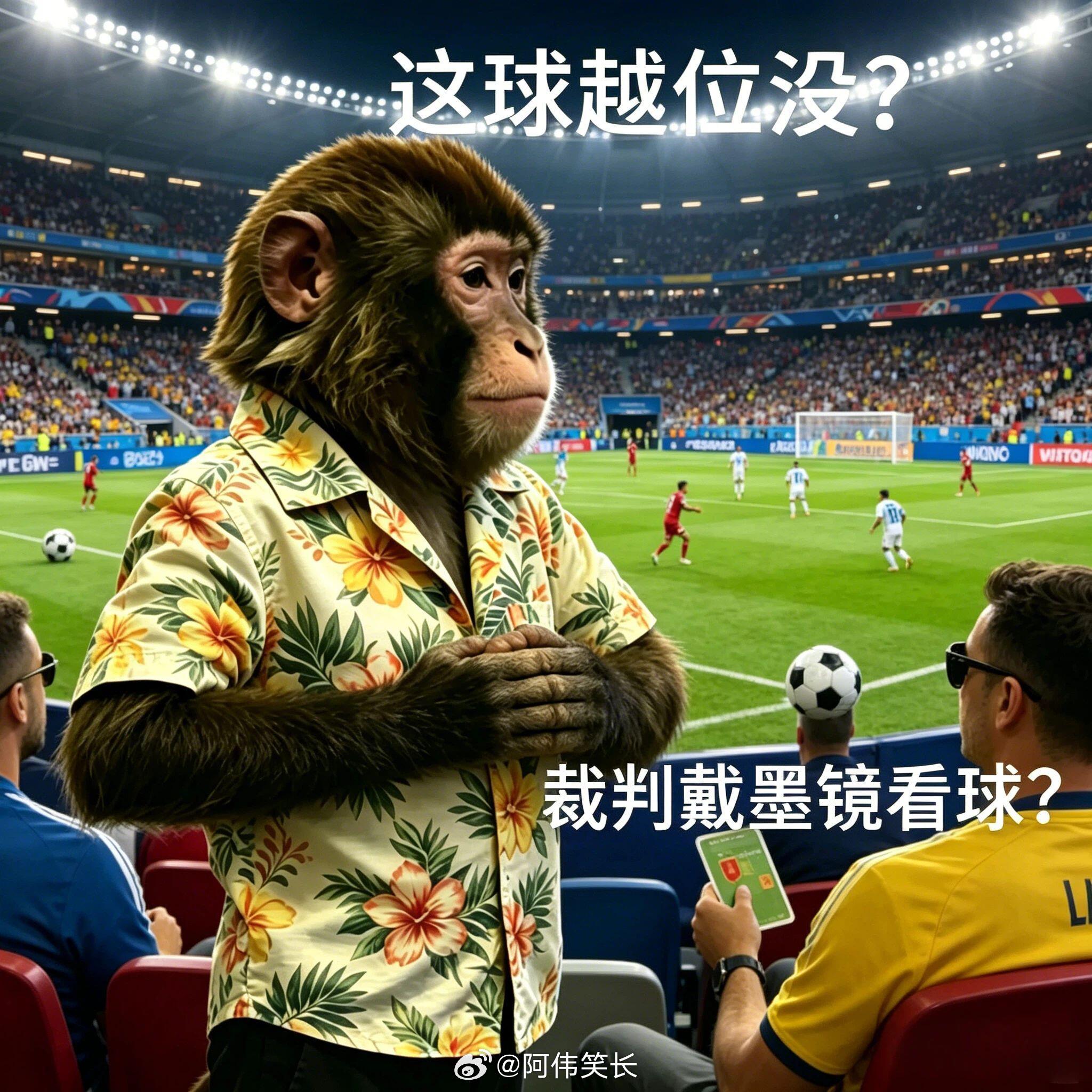看世界杯的球迷belike非正经观战世界杯