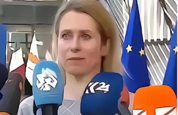 欧盟的官宣再次震惊了全世界：从今年开始，一切与中国有关的科研机构，都将没有资格参