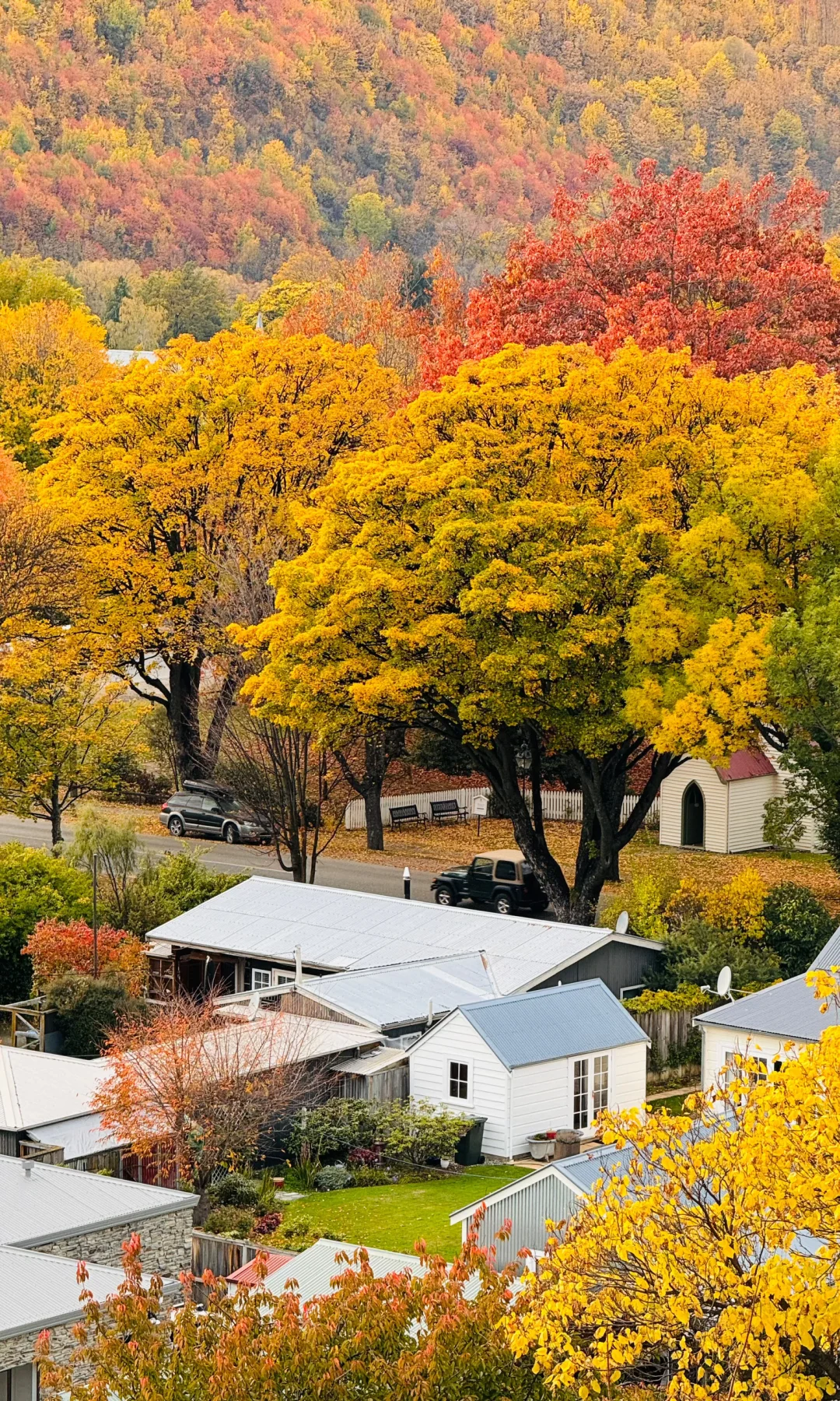 全屏封神挑战｜收集全世界的秋天