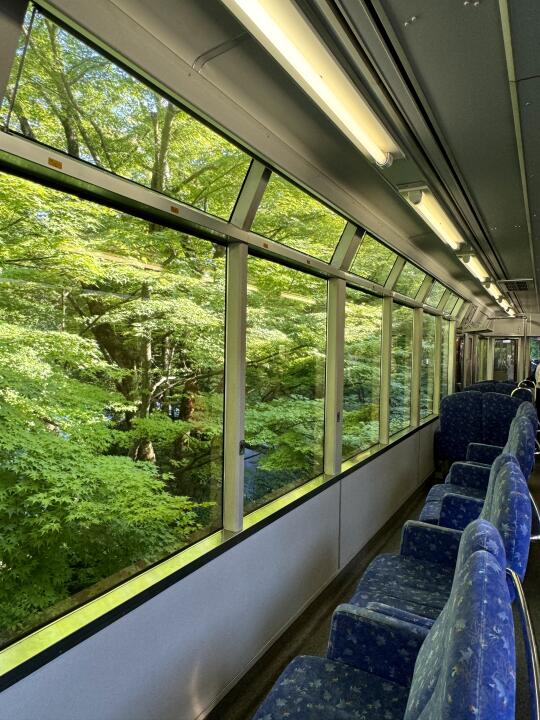 🇯🇵已经开始期待京都初夏的“新绿”了🍃