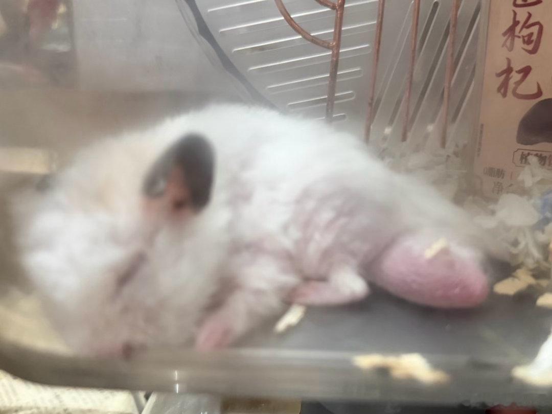 男孩 我没有见过你在我清醒的时候运动过 