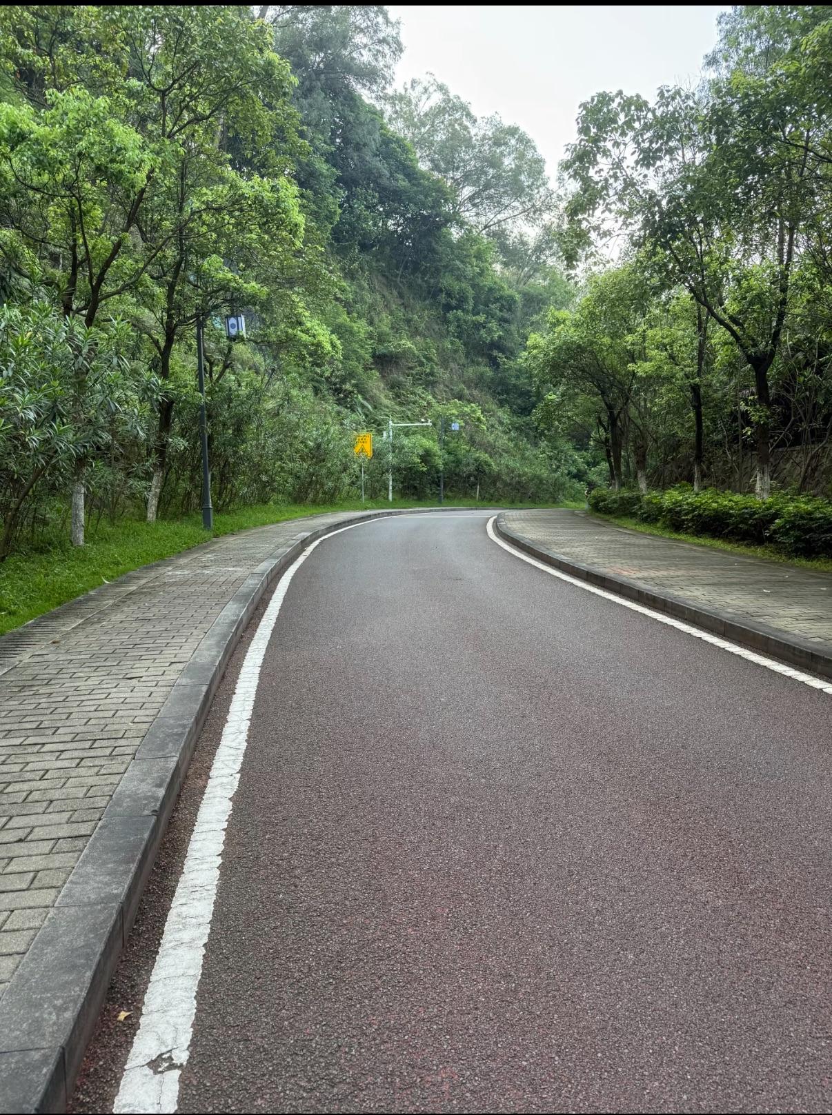 今天跑步🏃🏻了吗跑了，在有时间的情况下，基本上每天都会慢跑30分钟。