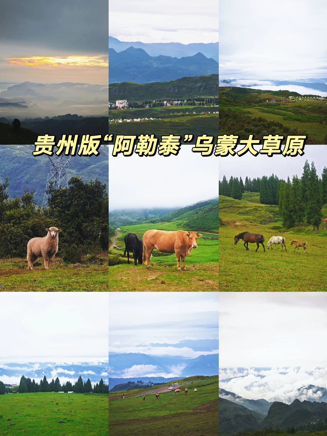 贵州｜乌蒙大草原不堵车攻略版！超级出片！