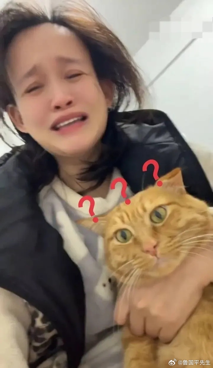 女子发视频哭诉:来深圳大半年给小猫花了差不多一万块钱了，自己还没有稳定的工作，真